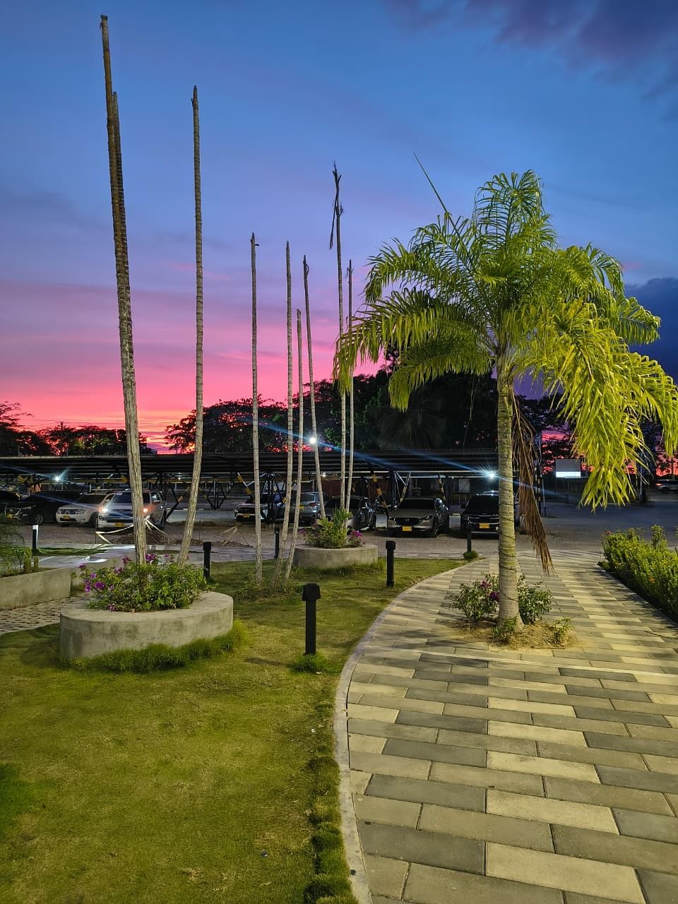 Las Palmas Pádel MTR